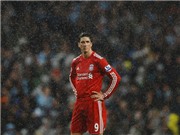 Bóng đá anh, ngoại hạng anh, lịch thi đấu euro 2012, Torres muốn Liverpool phải được "sang tên" sớm